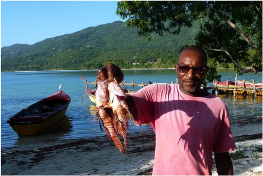 Jamaica Tackles its Lionfish Problem